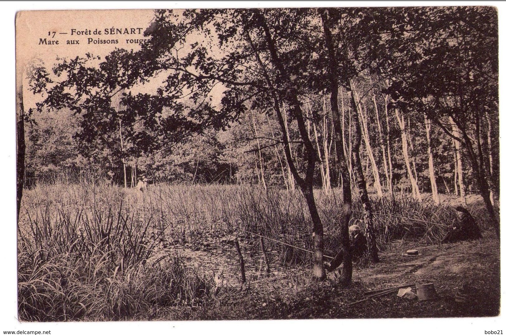 0028 - Montgeron - Forêt De Sénart - La Mare Aux Poissons Rouges - N° 17 - Montgeron