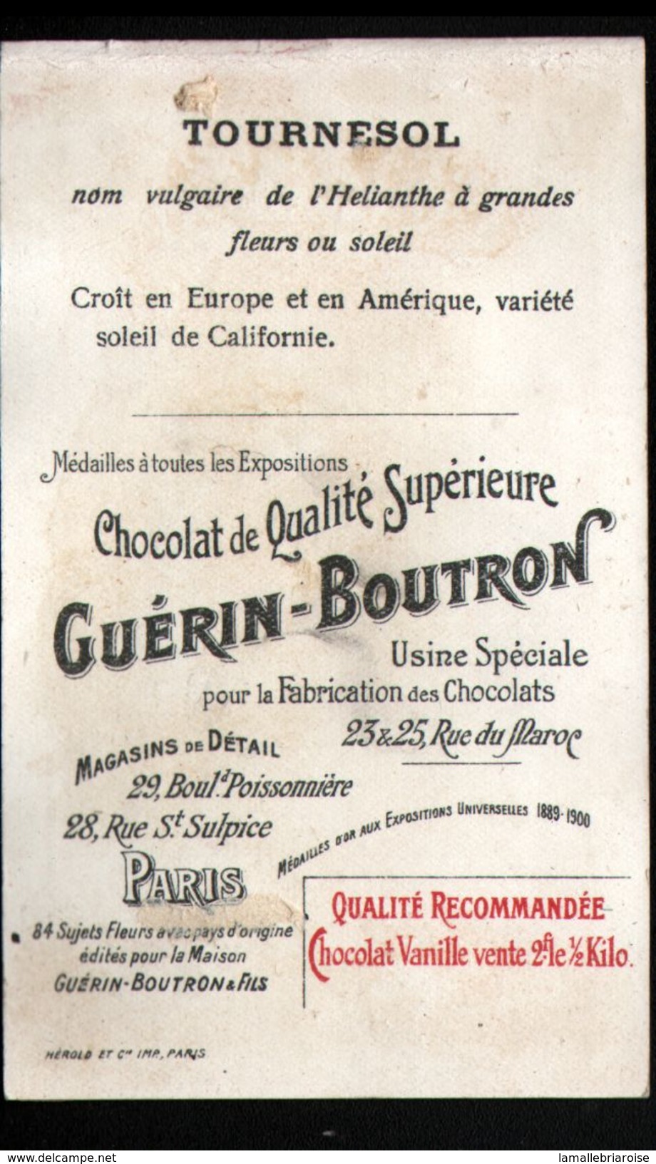 Chocolat Guerin Boutron, ..., Californie, Tournesol - Guerin Boutron