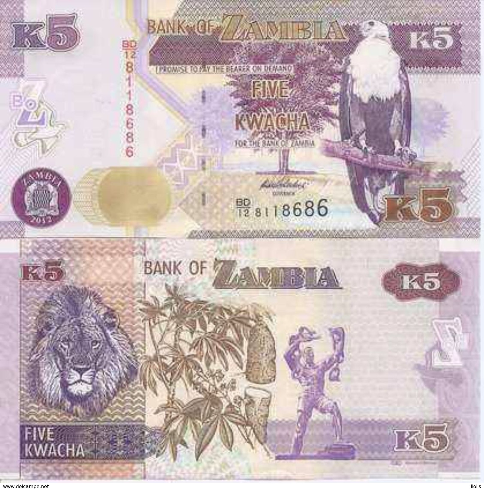 Zambia P-50  5 Kwacha 2012 UNC - Zambia