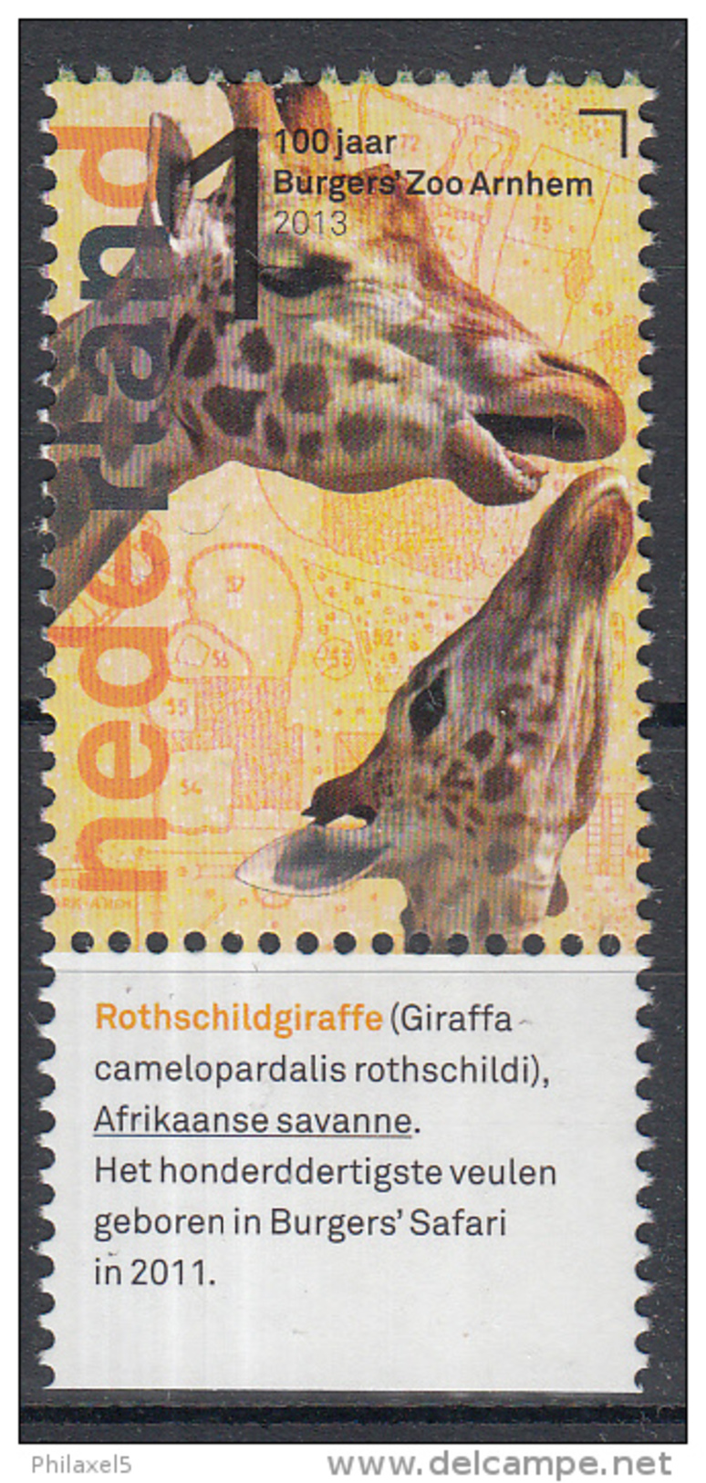 Nederland - Burgers Zoo 100 Jaar - Rothschild Giraffe - Postfris/MNH - NVPH 3029 - Giraffes