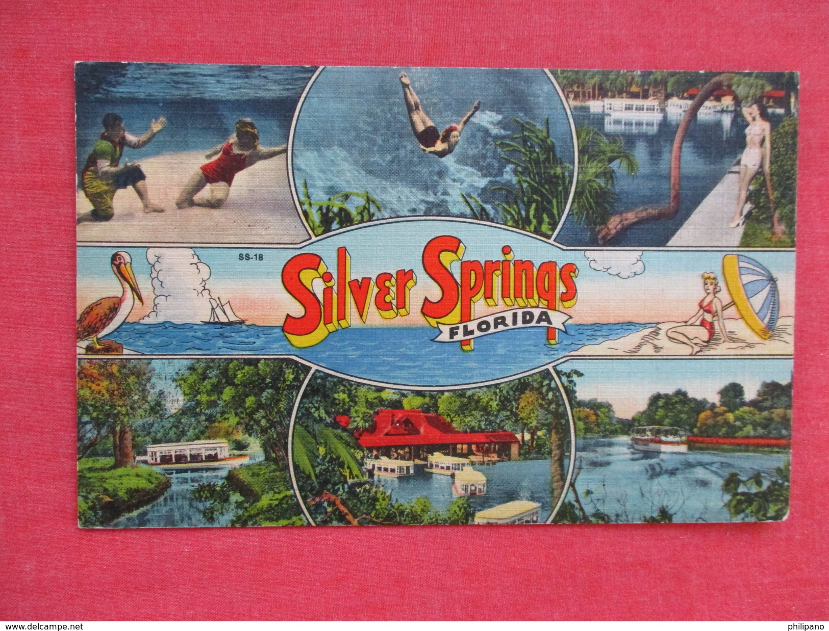 Florida > Silver Springs Multi View Greetings    > Ref 2766 - Silver Springs