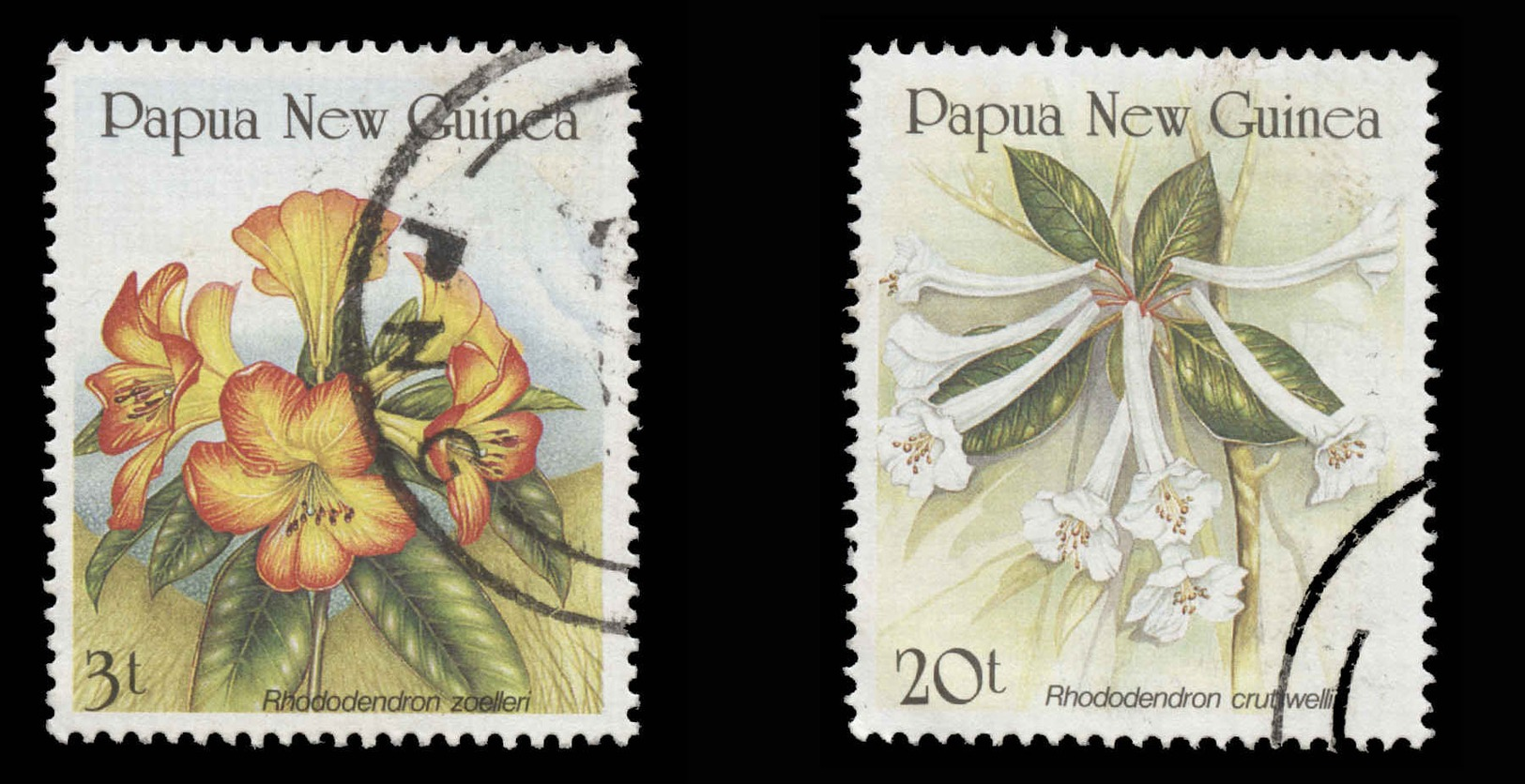 Papua New Guinea Scott # 703-704, Set Of 2 (1989) Rhododendrons, Used - Papouasie-Nouvelle-Guinée