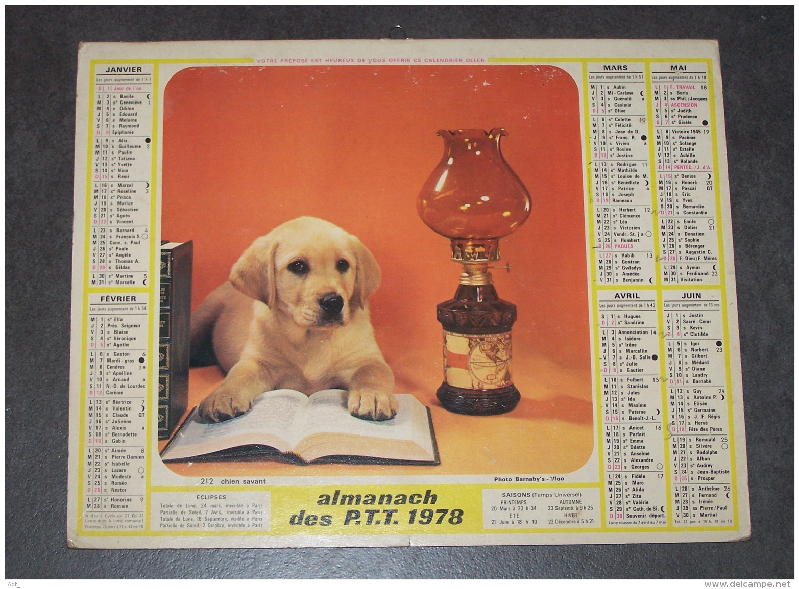 1978 ALMANACH CALENDRIER DES P.T.T, PTT, POSTE, CHIEN SAVANT, CHAT CURIEUX, OLLER, ARDENNES 08 - Groot Formaat: 1971-80