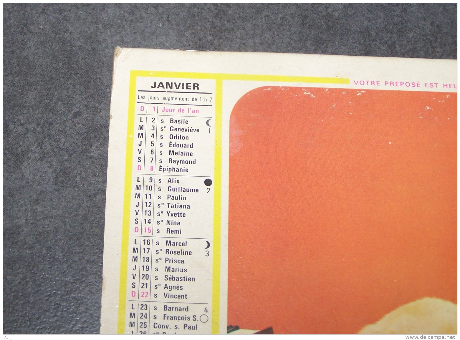 1978 ALMANACH CALENDRIER DES P.T.T, PTT, POSTE, CHIEN SAVANT, CHAT CURIEUX, OLLER, ARDENNES 08 - Tamaño Grande : 1971-80