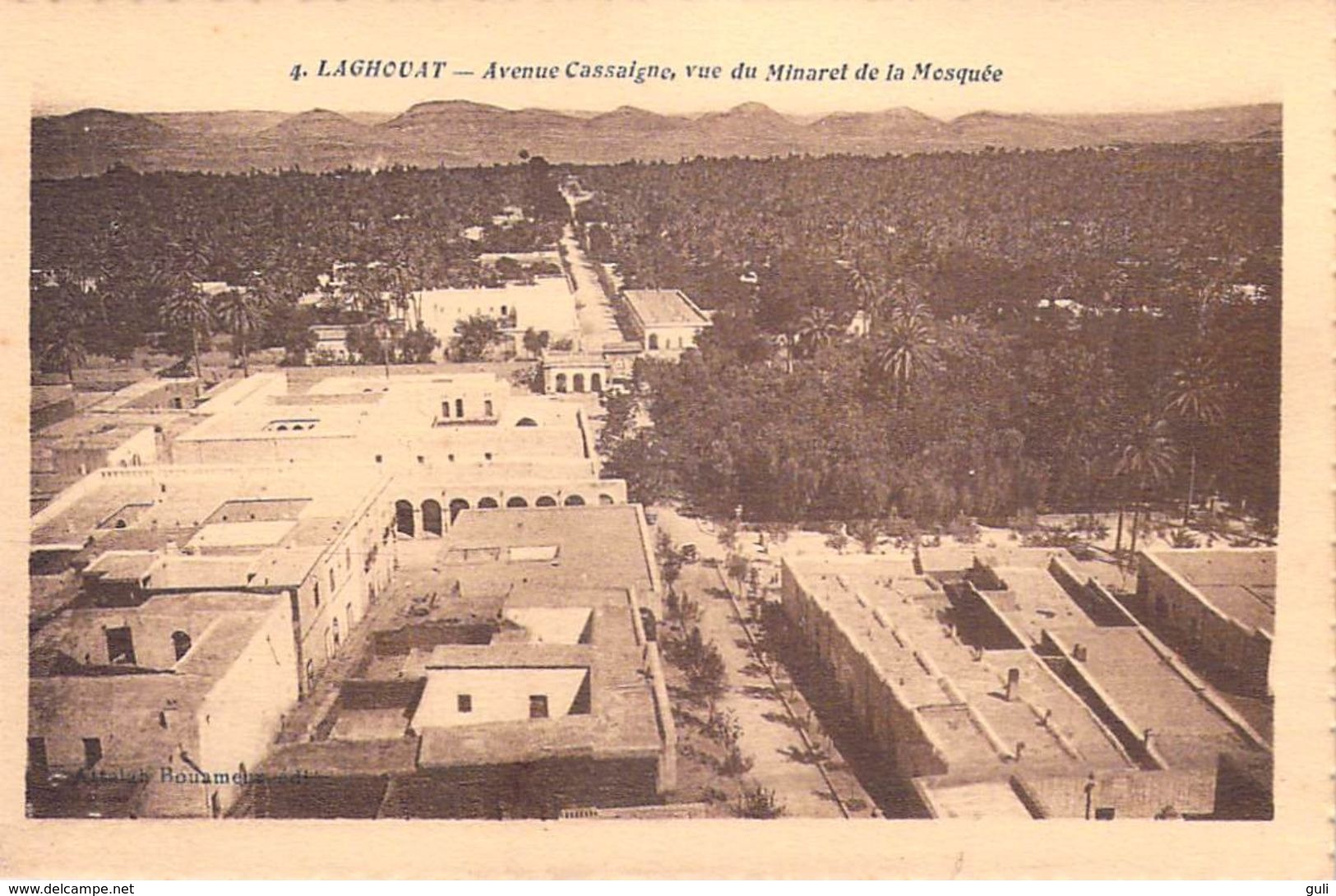 Afrique Algérie LAGHOUAT Avenue Cassaigne Vue Du Minaret De La Mosquée (- Editions Attalah Bouameur) *PRIX FIXE - Laghouat