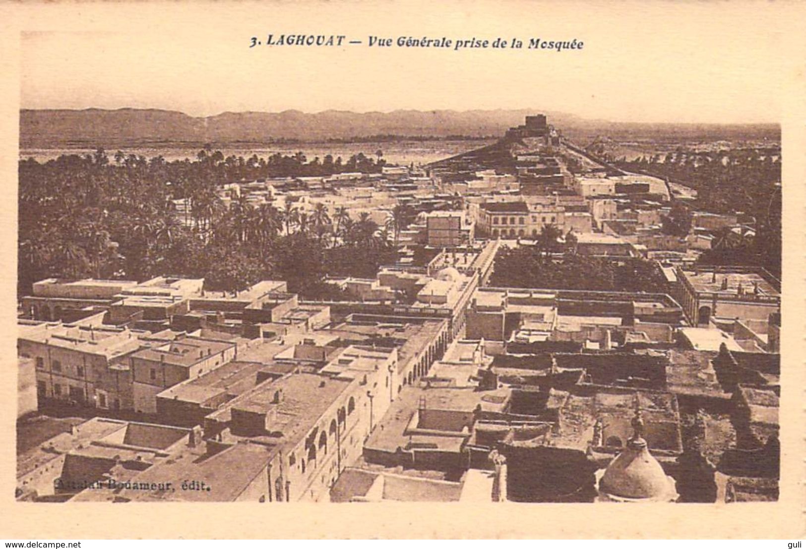 Afrique Algérie LAGHOUAT Vue Générale Prise De La Mosquée  (- Editions Attalah Bouameur)*PRIX FIXE - Laghouat