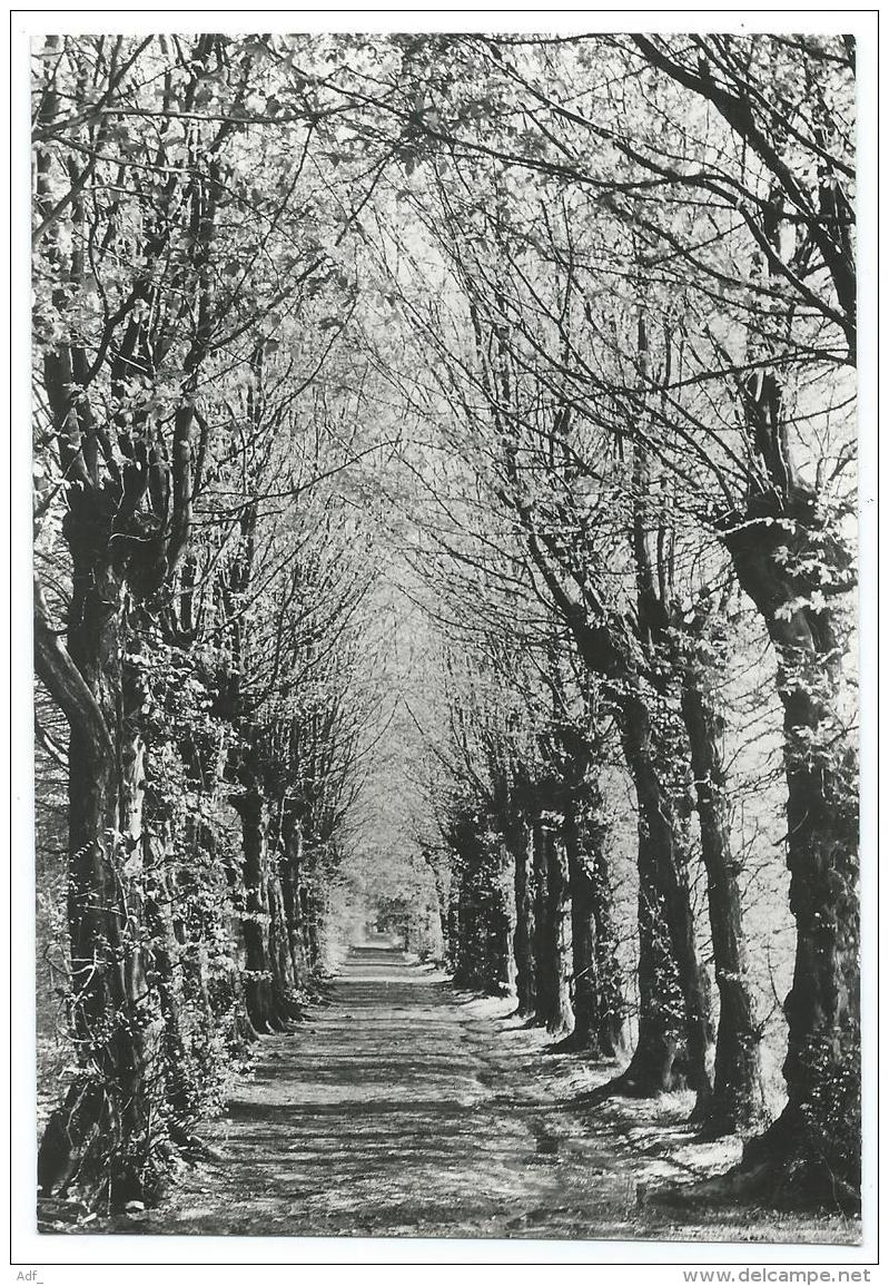 CPSM BEAUFAYS, FOYER DE LA PROVIDENCE, SOEURS DE ST AUGUSTIN, MAISON DE REPOS, RUE DE L'EGLISE, CHAUDFONTAINE, BELGIQUE - Chaudfontaine