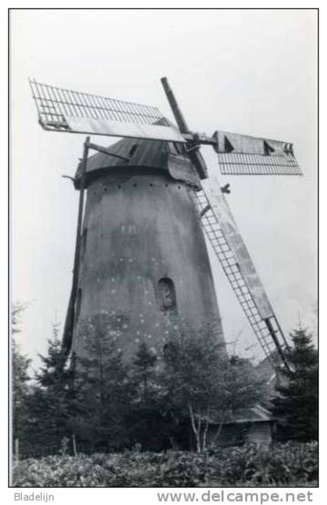 SINT-HUIBRECHTS-LILLE Bij Neerpelt (Limburg) - Molen/moulin - De Nieuwe Molen Voor De Restauratie Met Gebroken Wiek - Neerpelt