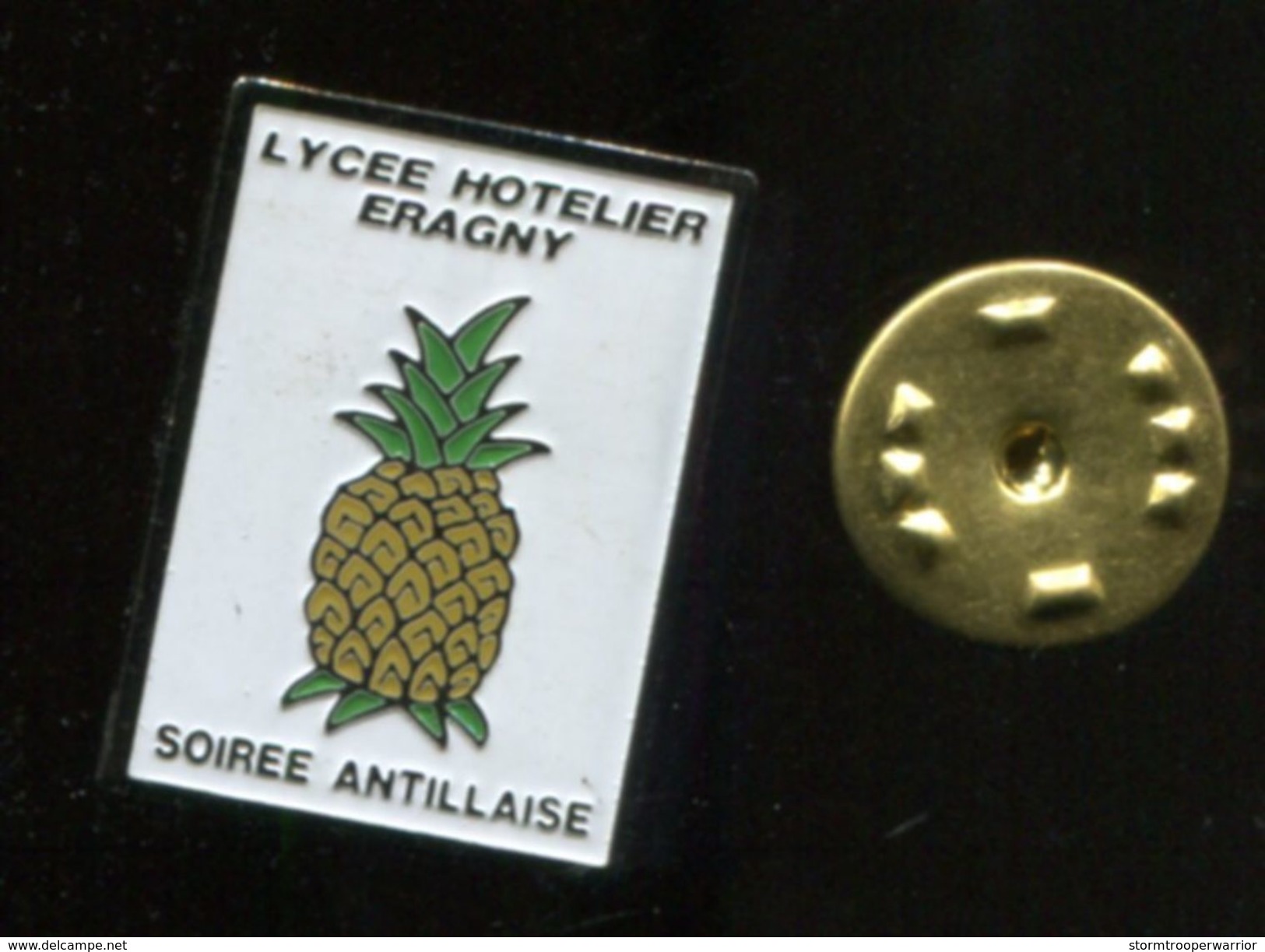 Pin's - Lycée Hotelier ERAGNY Ananas Soirée Antillaise - Other & Unclassified