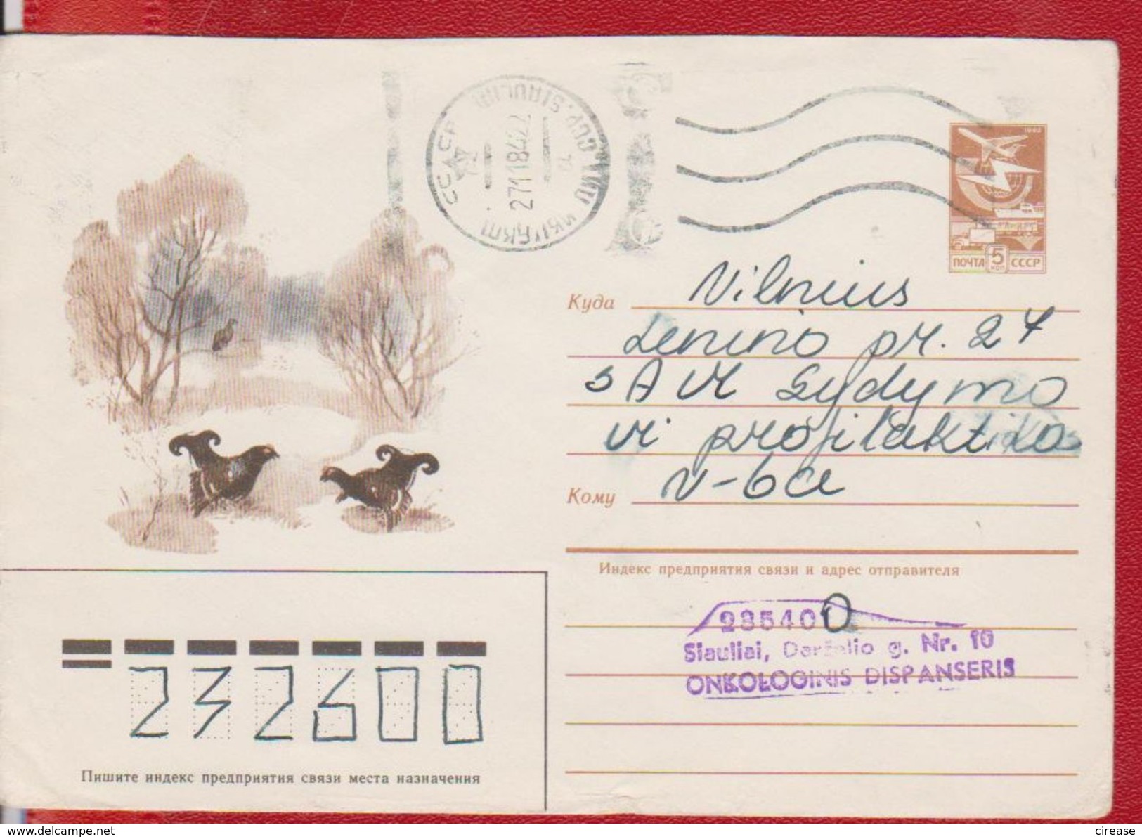 MOUNTAIN ROOSTER BIRD BIRDS  FAUNA RUSSIA POSTAL STATIONERY - Cuckoos & Turacos