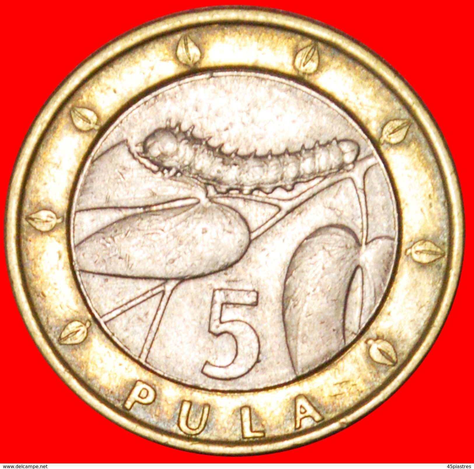 √ GREAT BRITAIN: BOTSWANA ★ 5 PULA 2007! LOW START ★ NO RESERVE! - Botswana