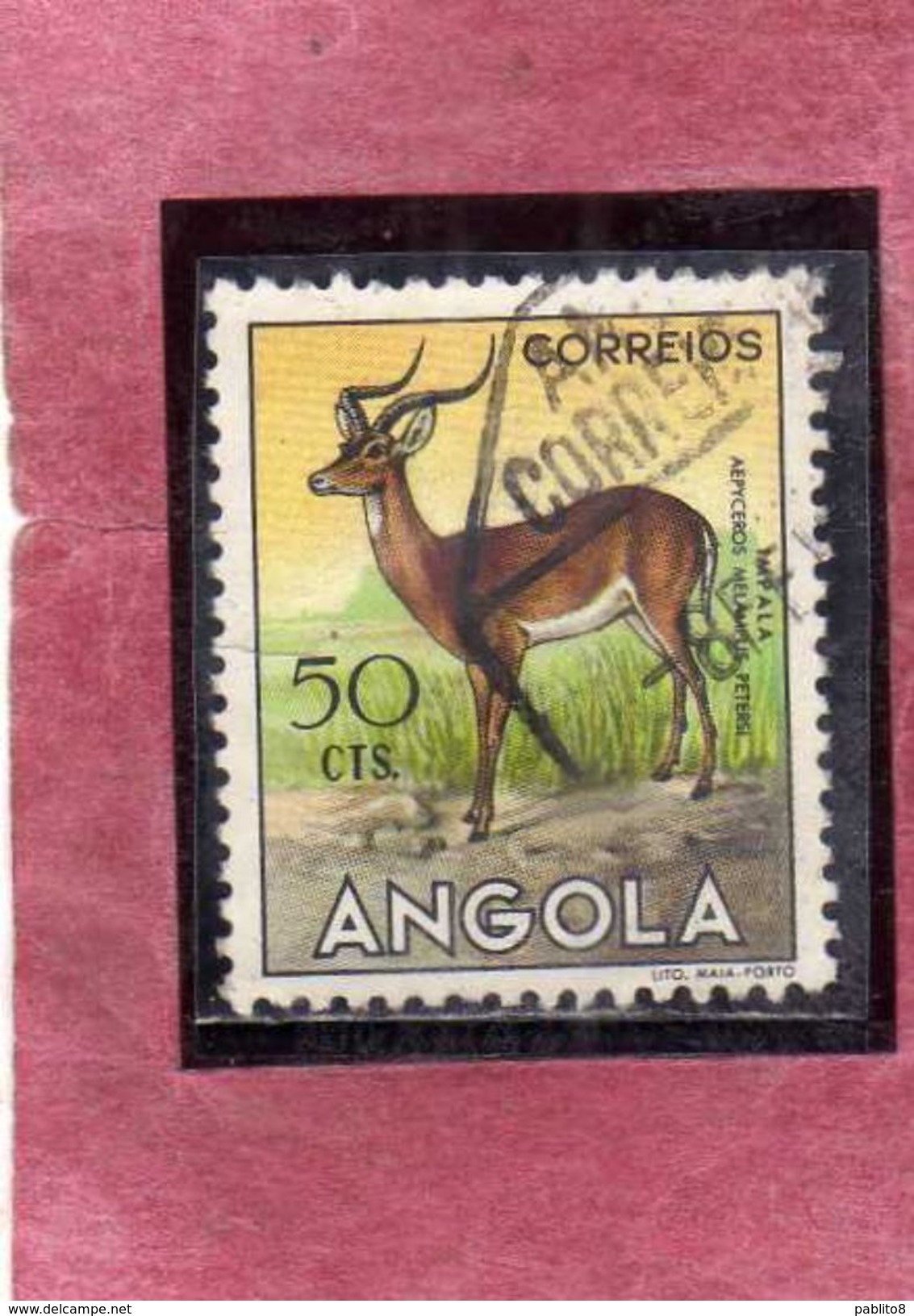 ANGOLA 1953 FAUNA ANIMALS IMPALA ANIMAL ANIMALE CENT. 50 USATO USED OBLITERE' - Angola