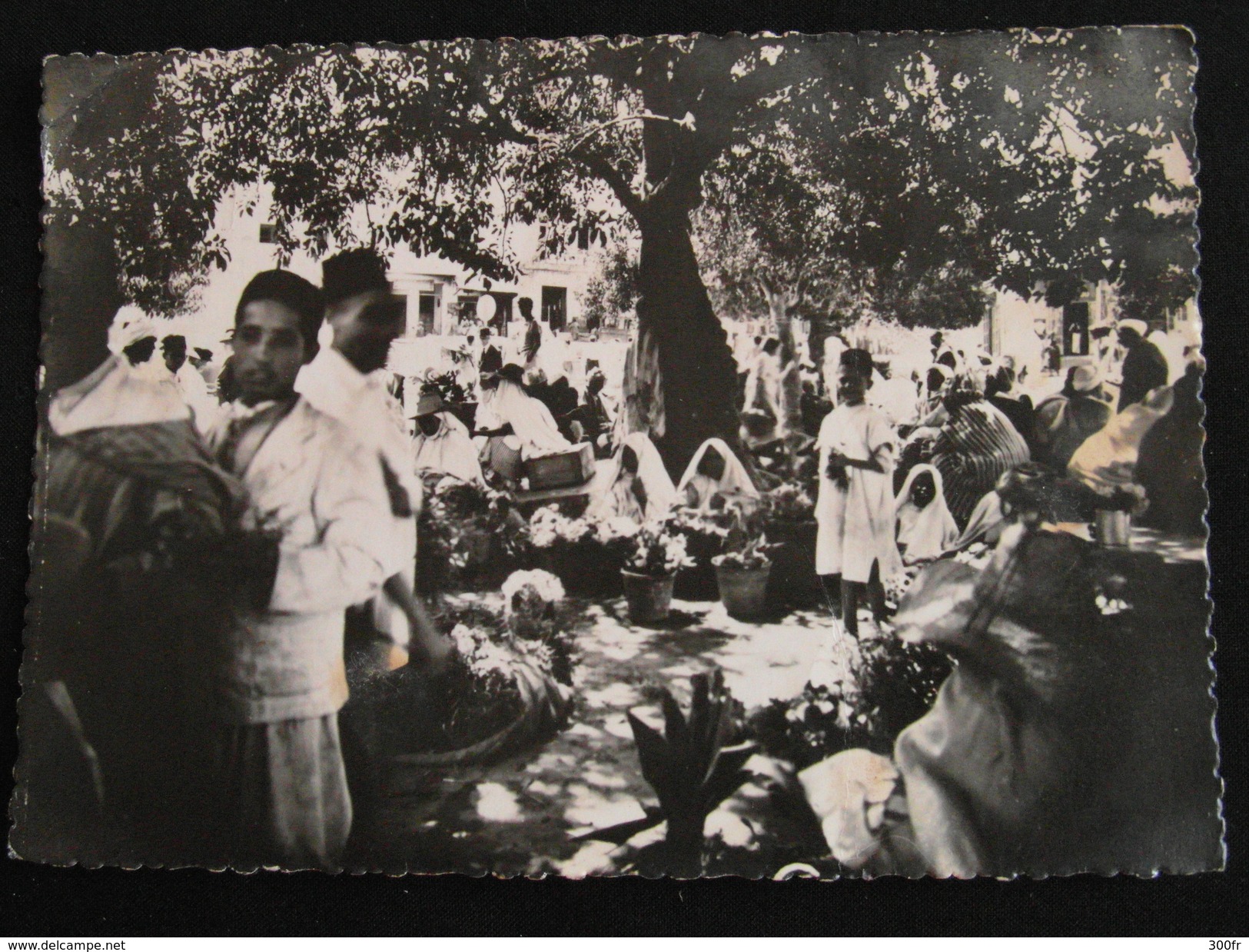 CP TANGER MARCHANDS DES FLEURS MAROC 1952 - Tanger