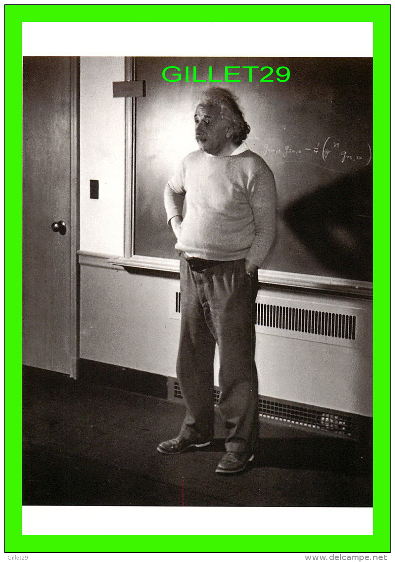 CÉLÉBRITÉS - ALBERT EINSTEIN AT PRINCETON, USA, 1940 - LUCIEN AIGNER - MUSÉE DE L'ÉLYSÉE LAUSANNE - - Personnages Historiques