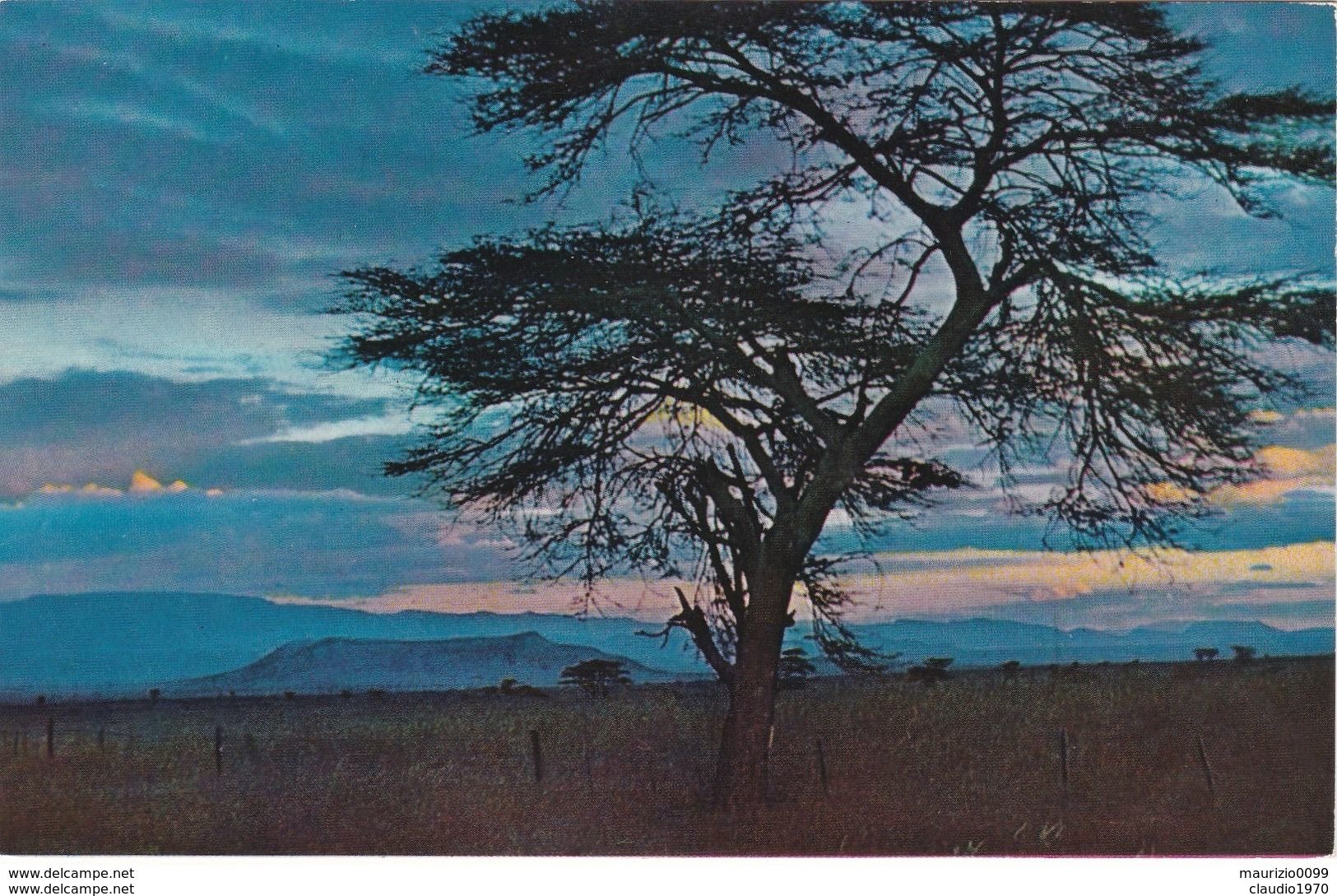 CARTOLINA - POSTCARD - KENIA - AFRICAN SUNSET - Kenia
