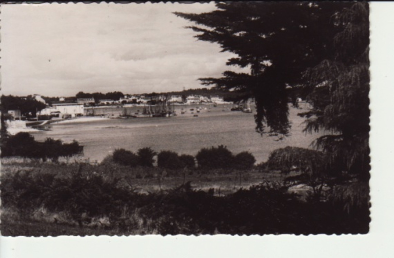 LA TRINITE Sur MER - Le Port Vu  De Kérino -  (SL- 848 ) - La Trinite Sur Mer