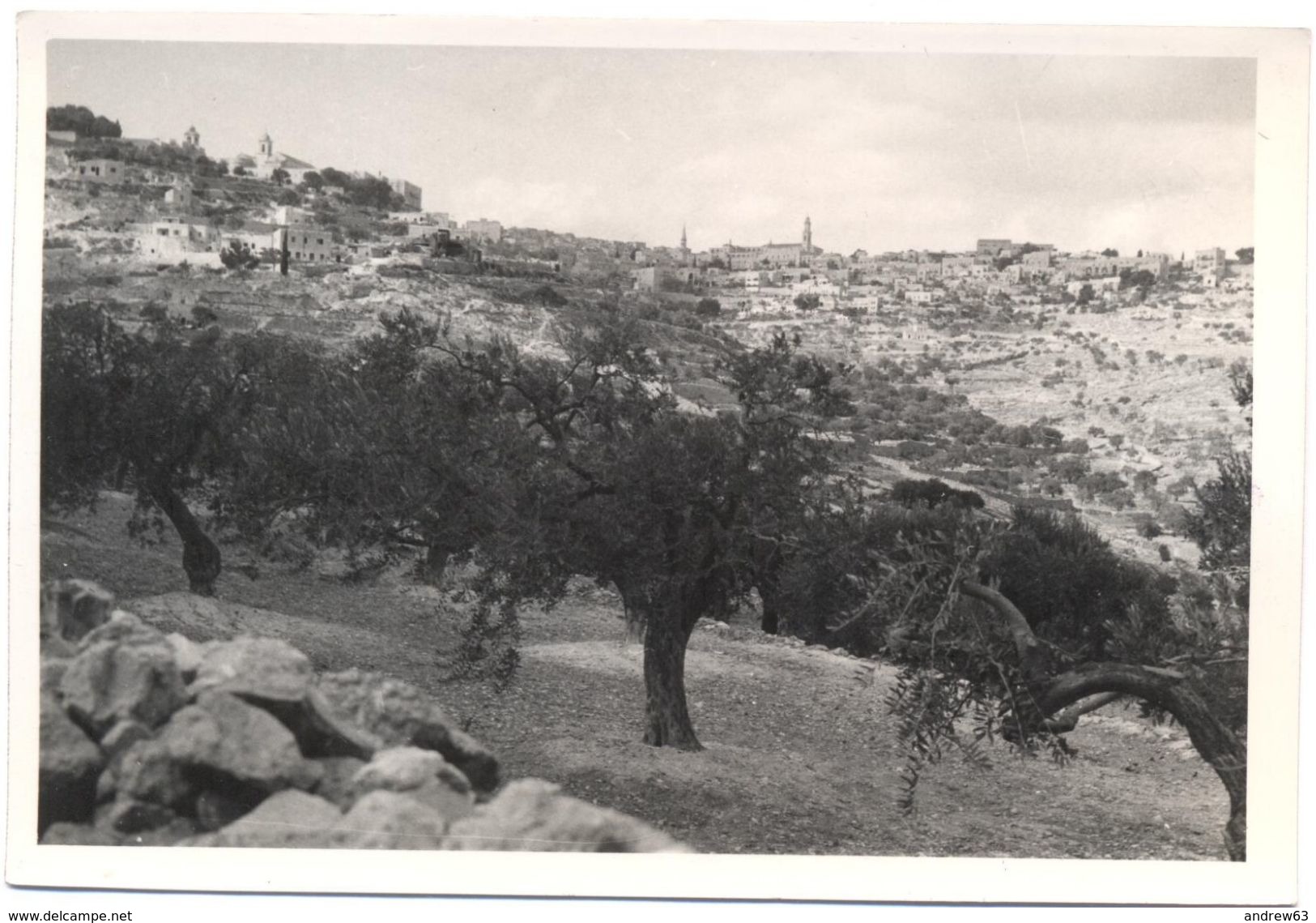 Foto Reale Di Panorama Di Città Con Ulivi In Primo Piano, In Terra Santa - Anni 60/70 - Non Identificato - Altri & Non Classificati