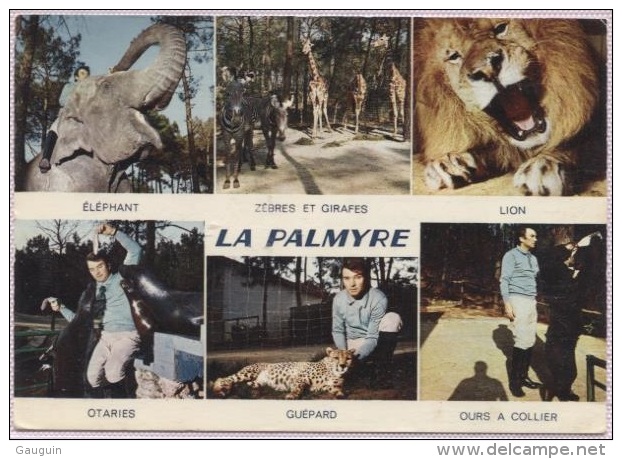 CPM - LA PALMYRE - PARC ZOOLOGIQUE DE MR CAILLE (Multivues) - Edition La Cigogne - Autres & Non Classés