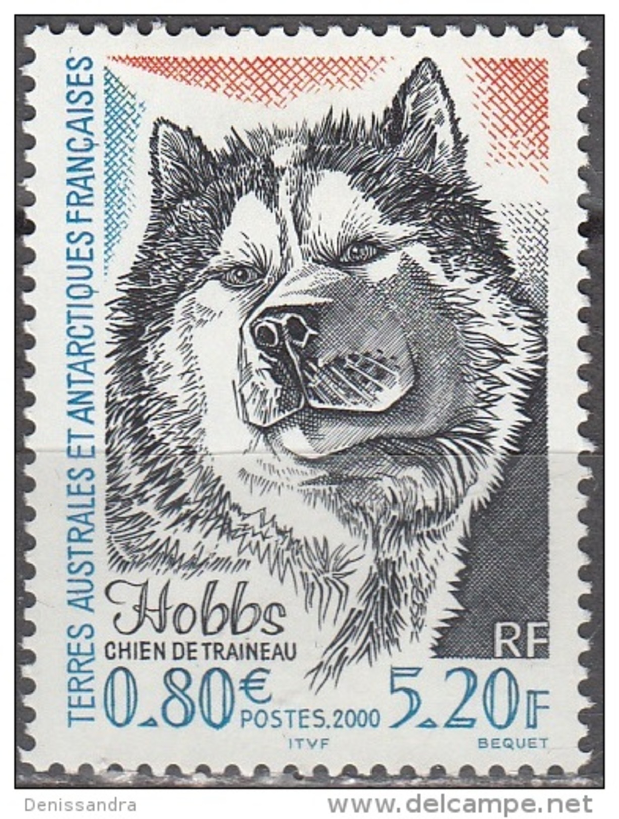 TAAF 2000 Yvert 265 Neuf ** Cote (2015) 2.70 Euro Chien De Traîneau Hobbs - Neufs