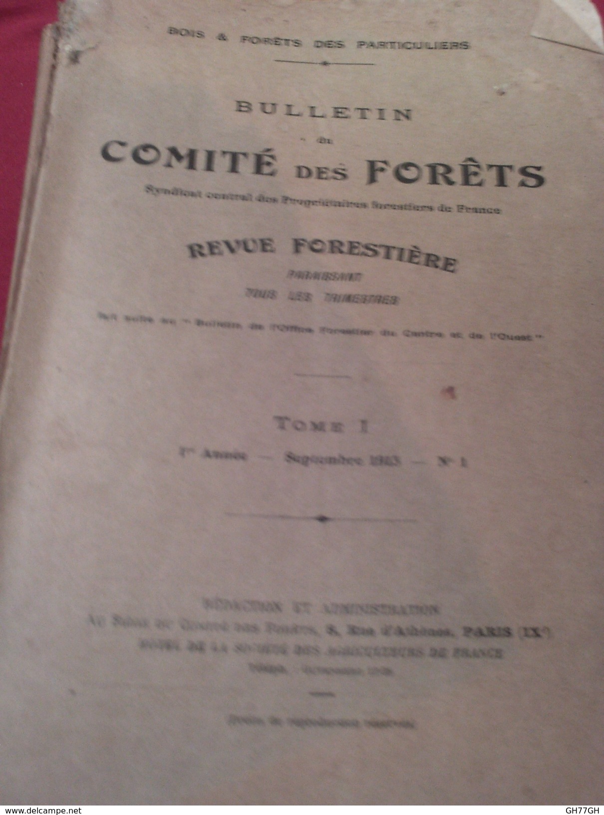 Bulletin Du Comité Des Forêts -Tome I -1ere Année -septembre 1913 -N° 1 -revue Forestière - 1900 - 1949