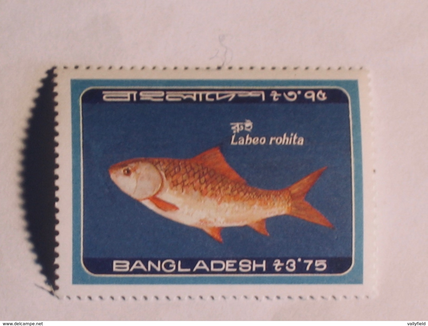 BANGLADESH  1983  Lot # 19   FISH - Bangladesh