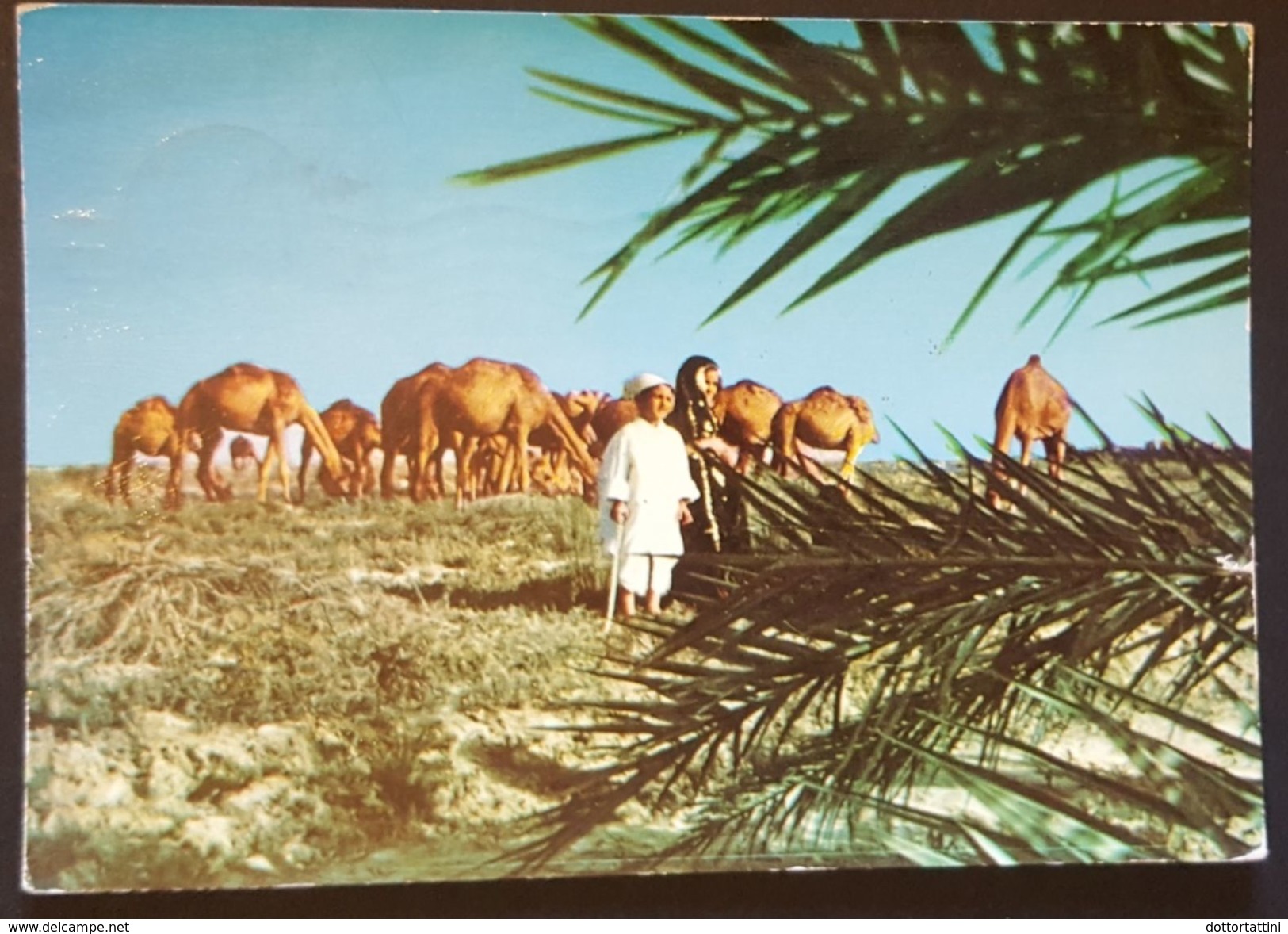 SAUDI ARABIA - Children Of The Desert Bedouin Camel Breeders - KSA Vg 1978 - Arabia Saudita