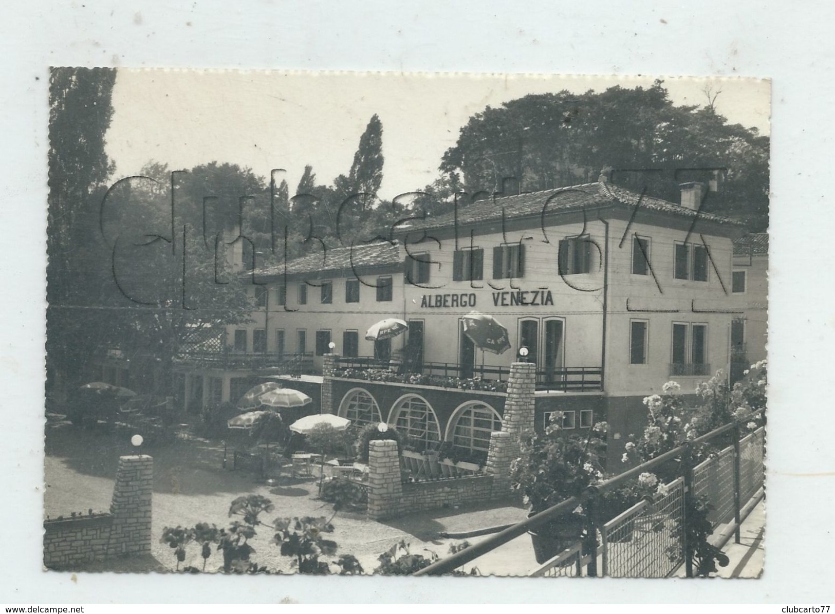 Treviso Ou Trévise (Italie, Veneto) : Albergo Ristorante Venezia Environ 1954 GF. - Treviso