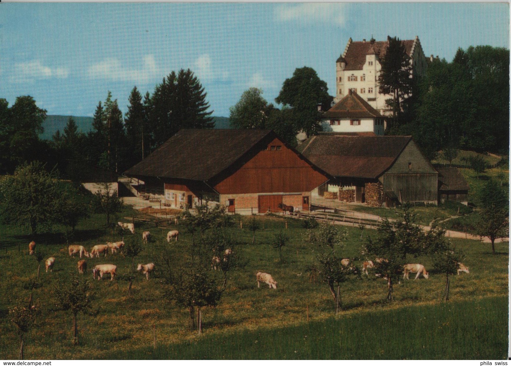 Schloss Sonnenberg, Stettfurt TG - Kühe Vaches Cows - Photoglob - Stettfurt