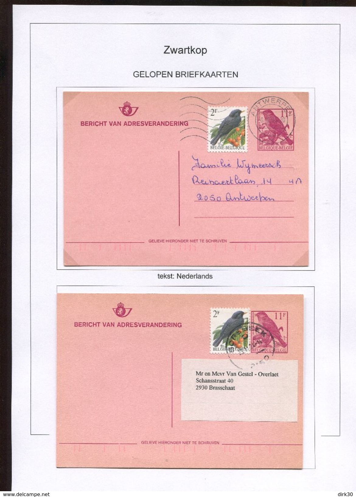 Belgie 4367 4 X Cartes Postales ZWARTKOP Andre Buzin Birds RR - Addr. Chang.