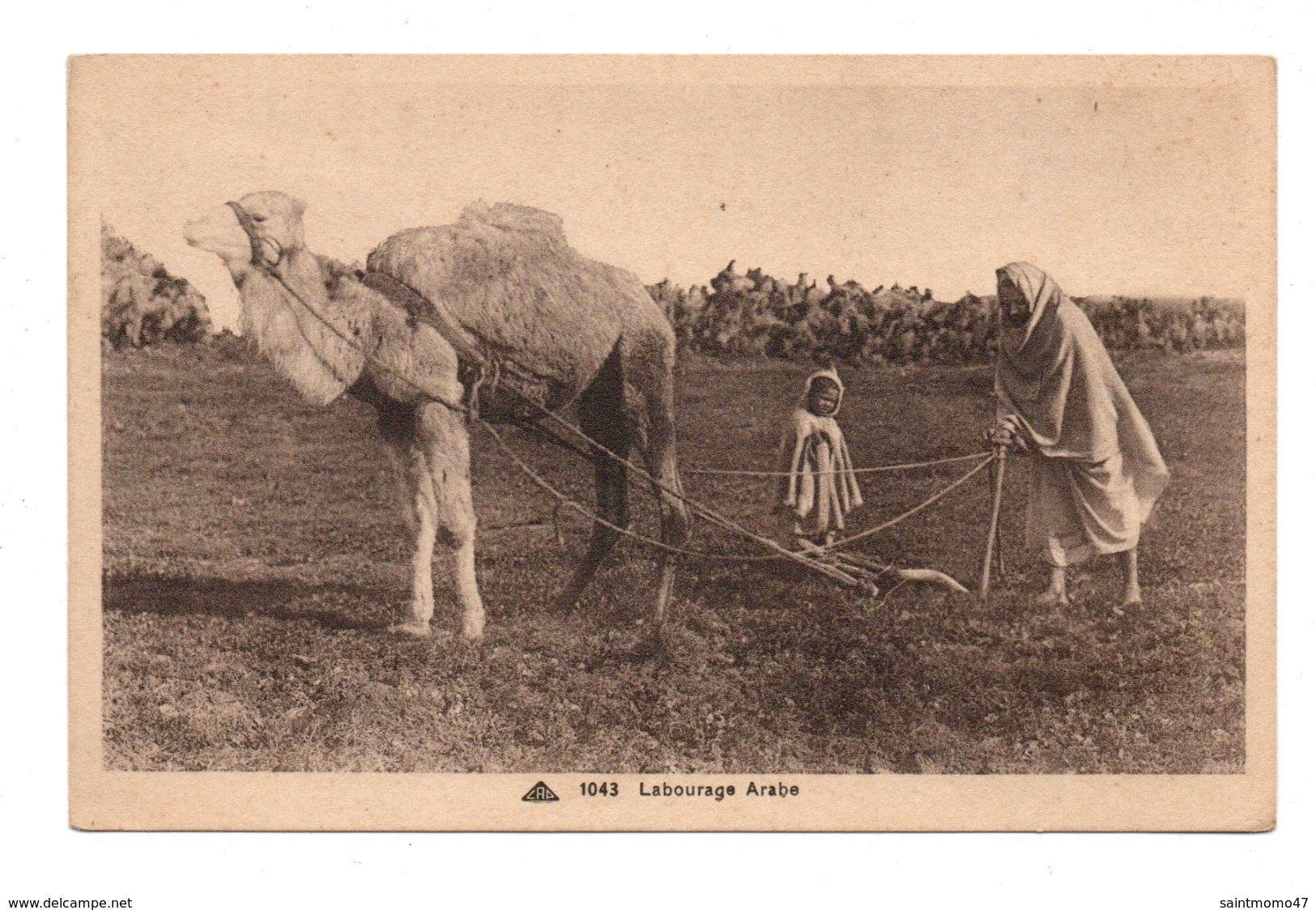 AGRICULTURE . LABOURAGE ARABE - Réf. N°6817 - - Attelages