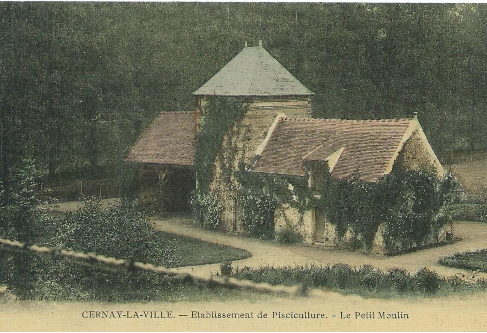 78,Yvelines, CERNAY,Etablissement De Pisciculture , Le Petit Moulin, Couleurs, Scan Recto-Verso - Cernay-la-Ville