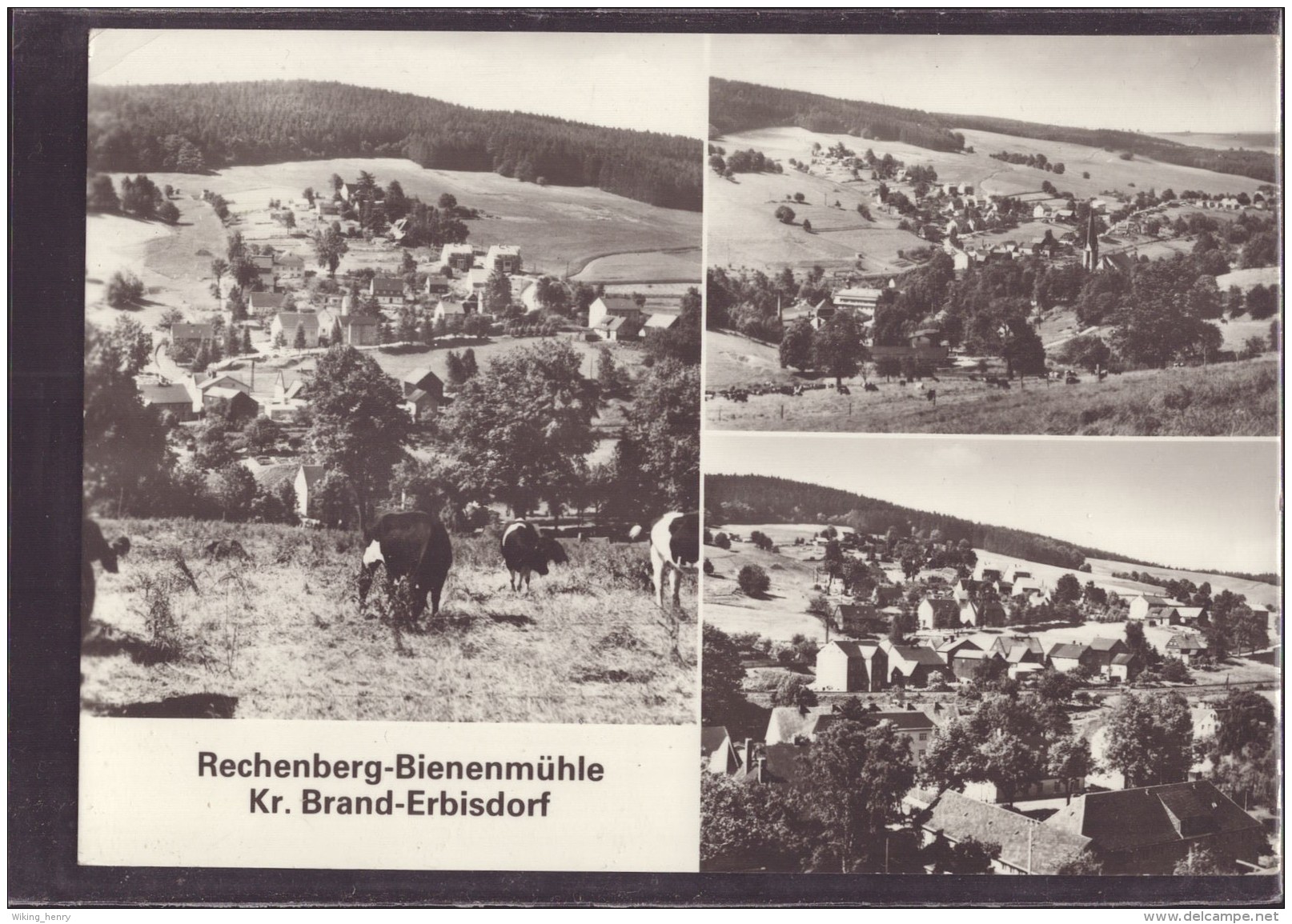 Rechenberg Bienenmühle - S/w Mehrbildkarte 1 - Rechenberg-Bienenmühle