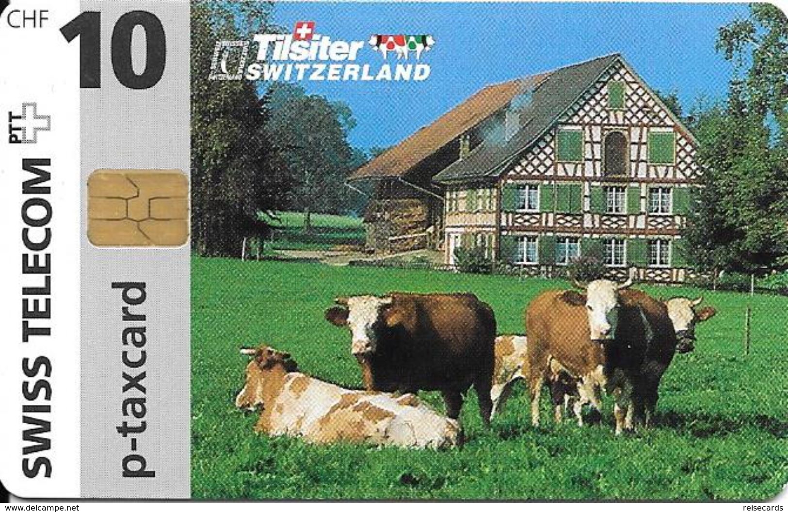 Swiss Telecom: 02/97 Tilsiter Käse - Suiza