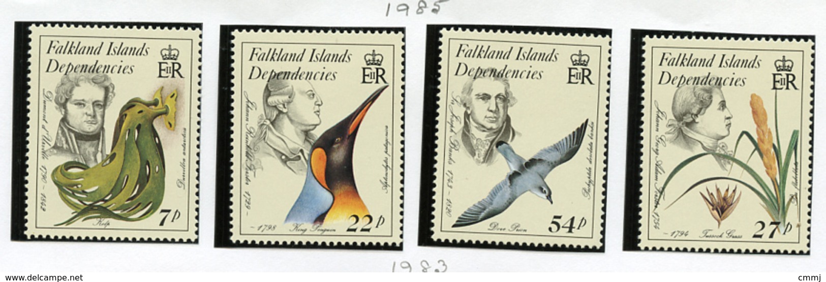 1985 - FALKLAND ISLANDS DEPENDENCE - Mi. Nr.  138/141 -  NH -  (UP.70.1) - Falkland