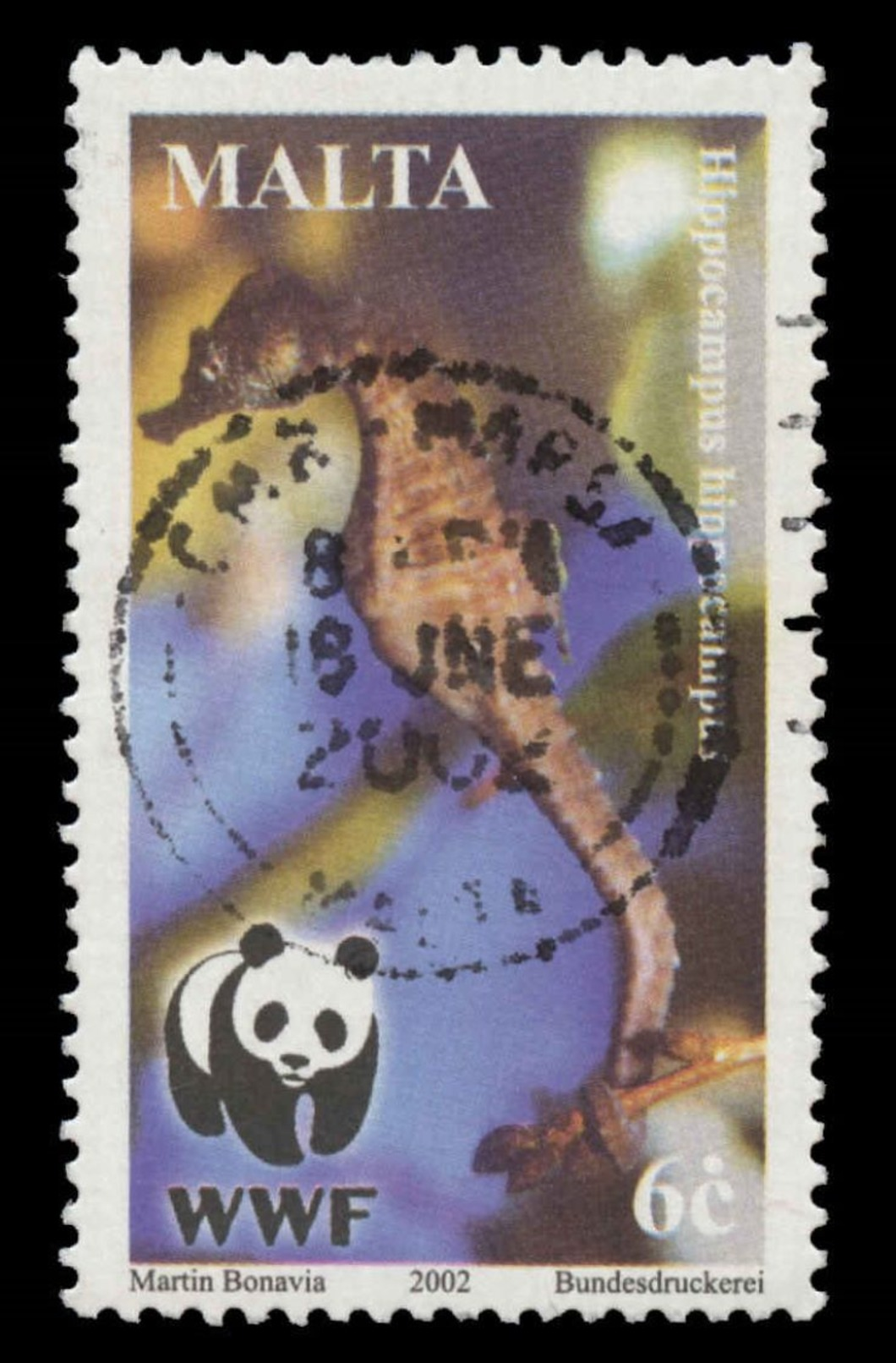 Malta Scott #1071, 6¢ Multicolored (2002) Worldwide Fund For Nature, Used - Malta