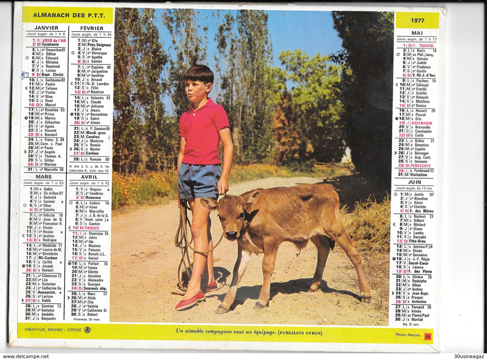 Calendrier 1977, Almanach Des PTT,postes, Un Aimable Compagnon Vaut Un équiupage, Poule ,Departement 26  Double Face - Grand Format : 1971-80