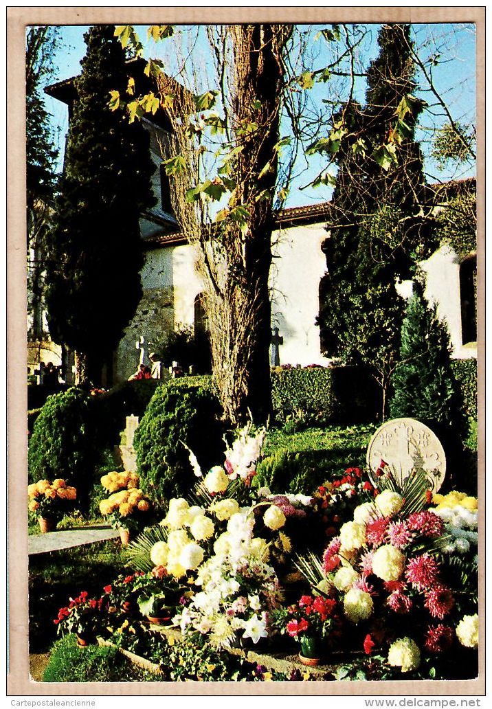 X640526 Poême Pierre D' ARCANGUES Cimetière Tombes Basques Attenant Eglise Pays BASQUE Euskadi - RAMEAUX - Autres & Non Classés