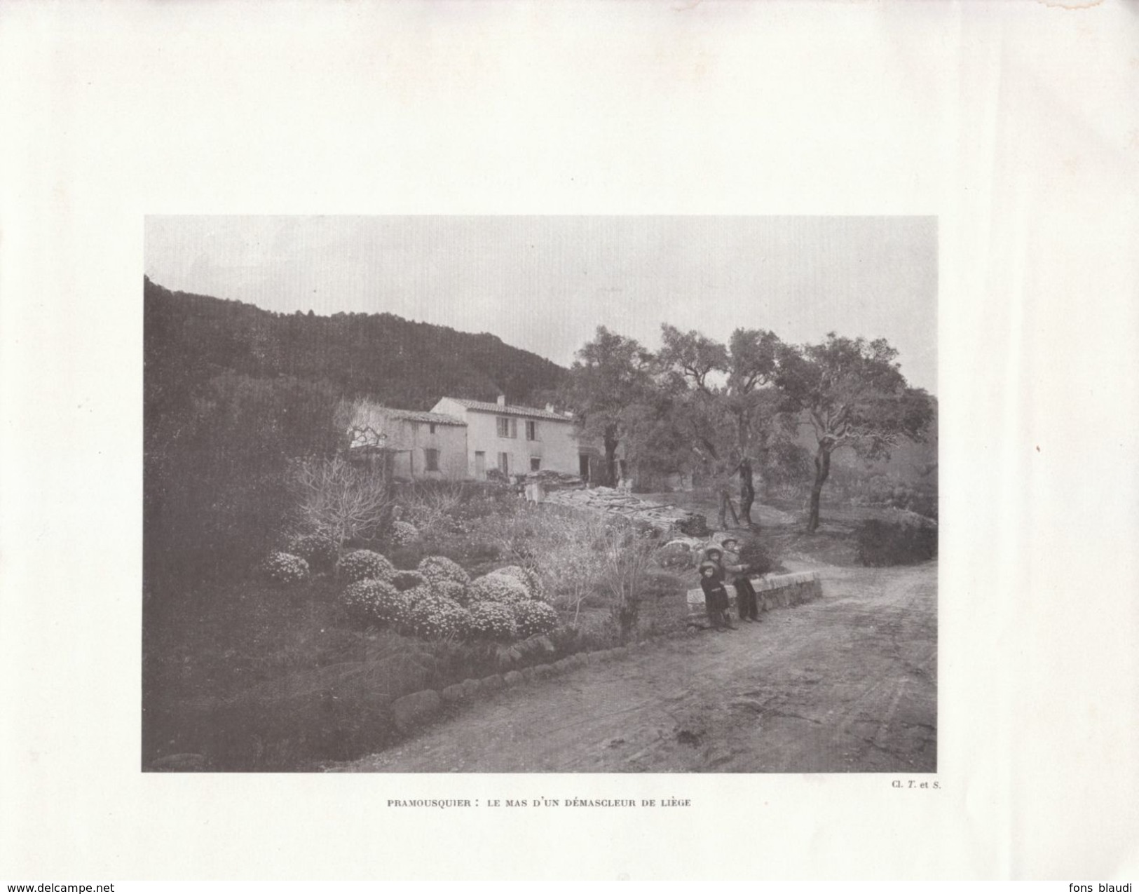 1910 - Iconographie - Le Lavandou (Var) - Le Mas D'un Démascleur De Liège à Pramousquier - FRANCO DE PORT - Ohne Zuordnung