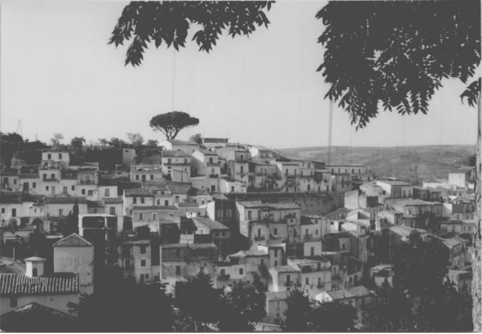 AMALFI / GRAVINA   ALTRI PAESE / 22FOTO  / 8X12.5 /LOT 18