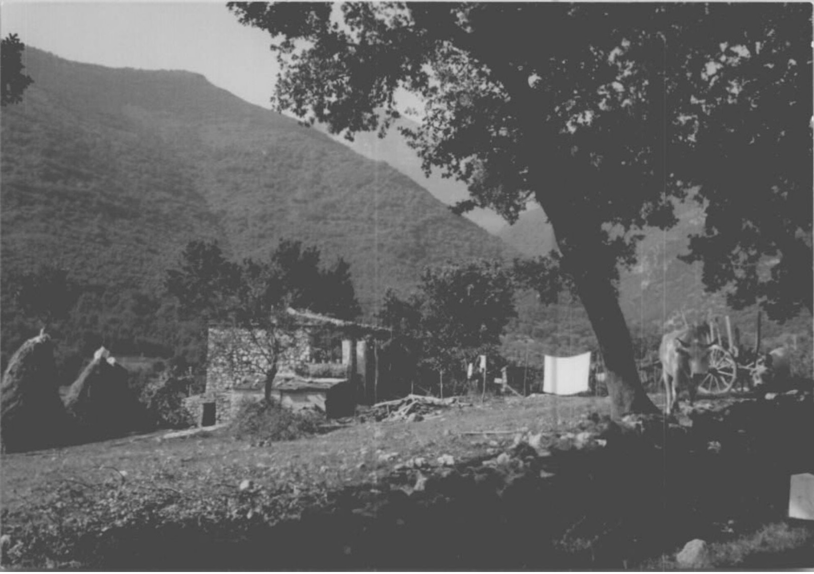 AMALFI / GRAVINA   ALTRI PAESE / 22FOTO  / 8X12.5 /LOT 18