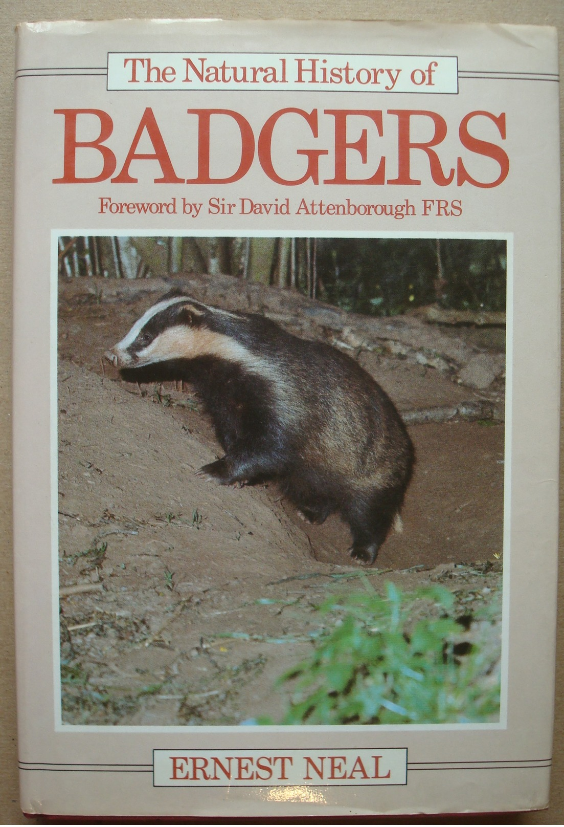 The Natural History Of Badgers. - Ernest NEAL. - Wildlife