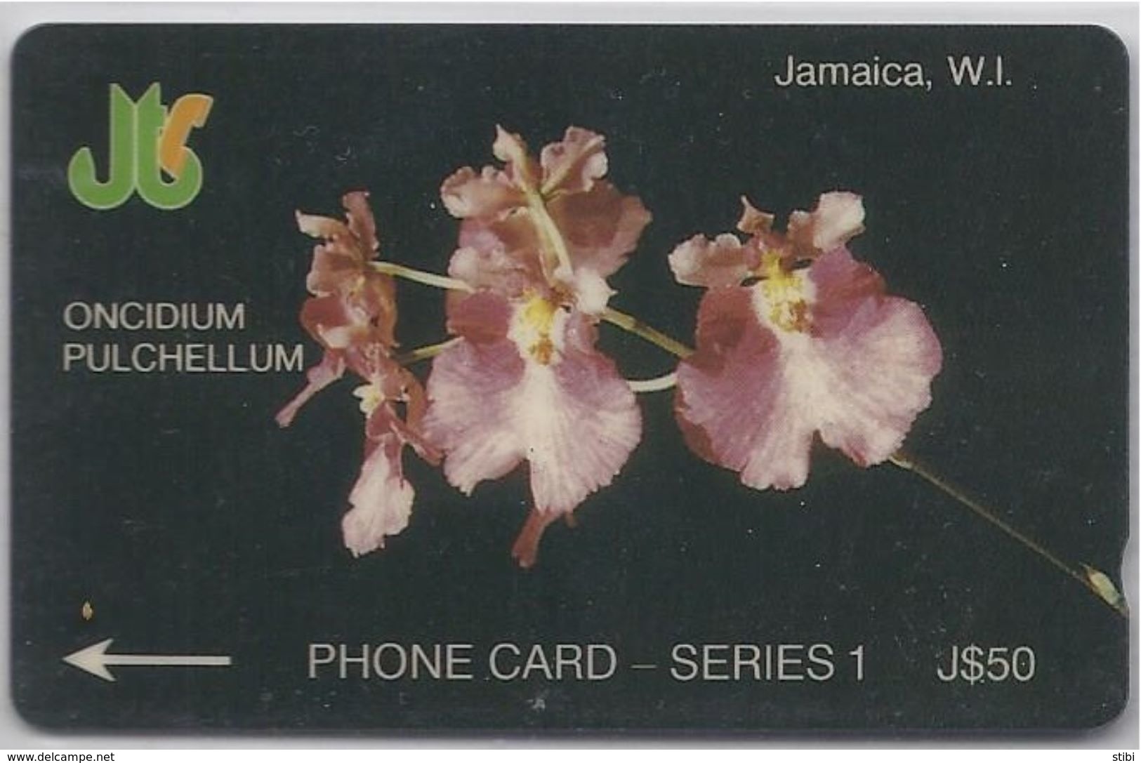 JAMAICA - ONCIDIUM PULCHELLUM - ORCHID - 8JAMB - Jamaica