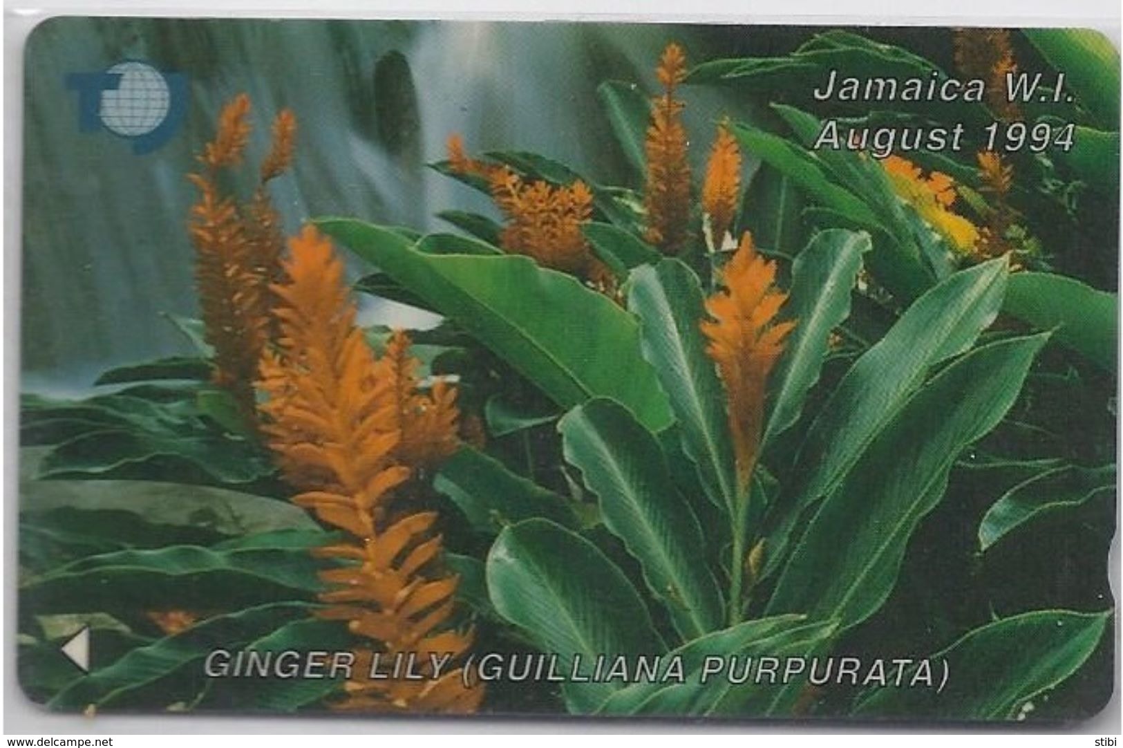 JAMAICA - GINGER LILY - FLOWER - 17JAMB - Jamaica