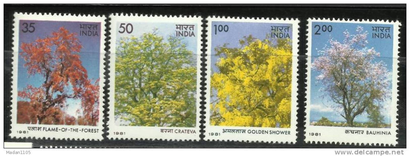 INDIA,1981,Flowering Trees, Set, 4 V, ,MNH,(**) - Árboles