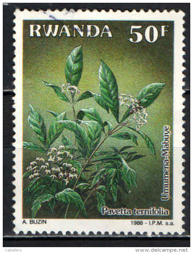 RWANDA - 1988 - Pavetta Ternifolia - USATO - Usati