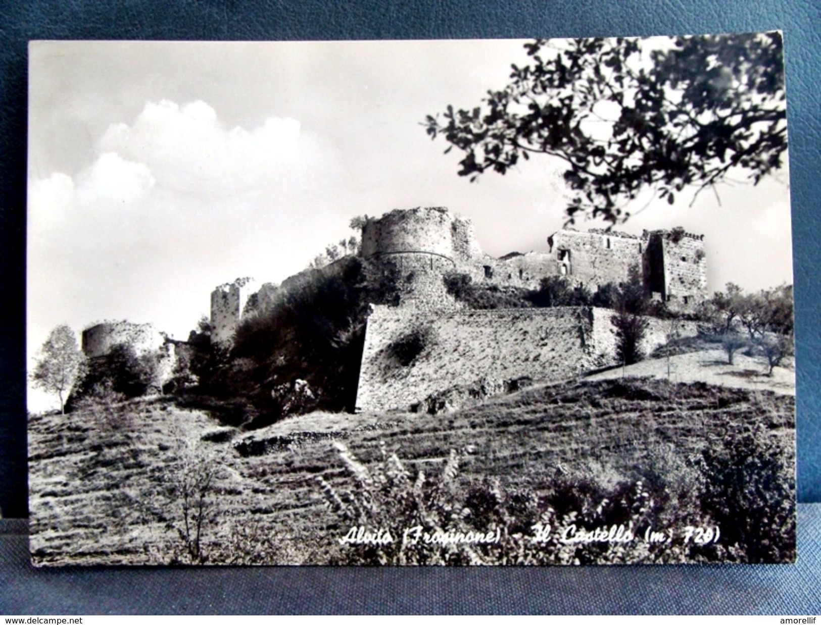 (FG.A74) ALVITO - IL CASTELLO (FROSINONE) VIAGGIATA 1970 Annullo Alvito - Frosinone