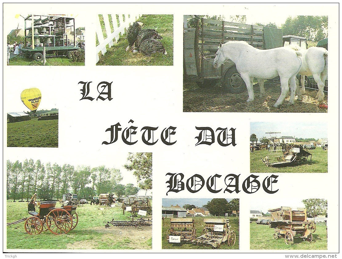 Cheval Paard Horse / La Fête De Bocage / St-Michel Le Village De Le Wast - Autres & Non Classés