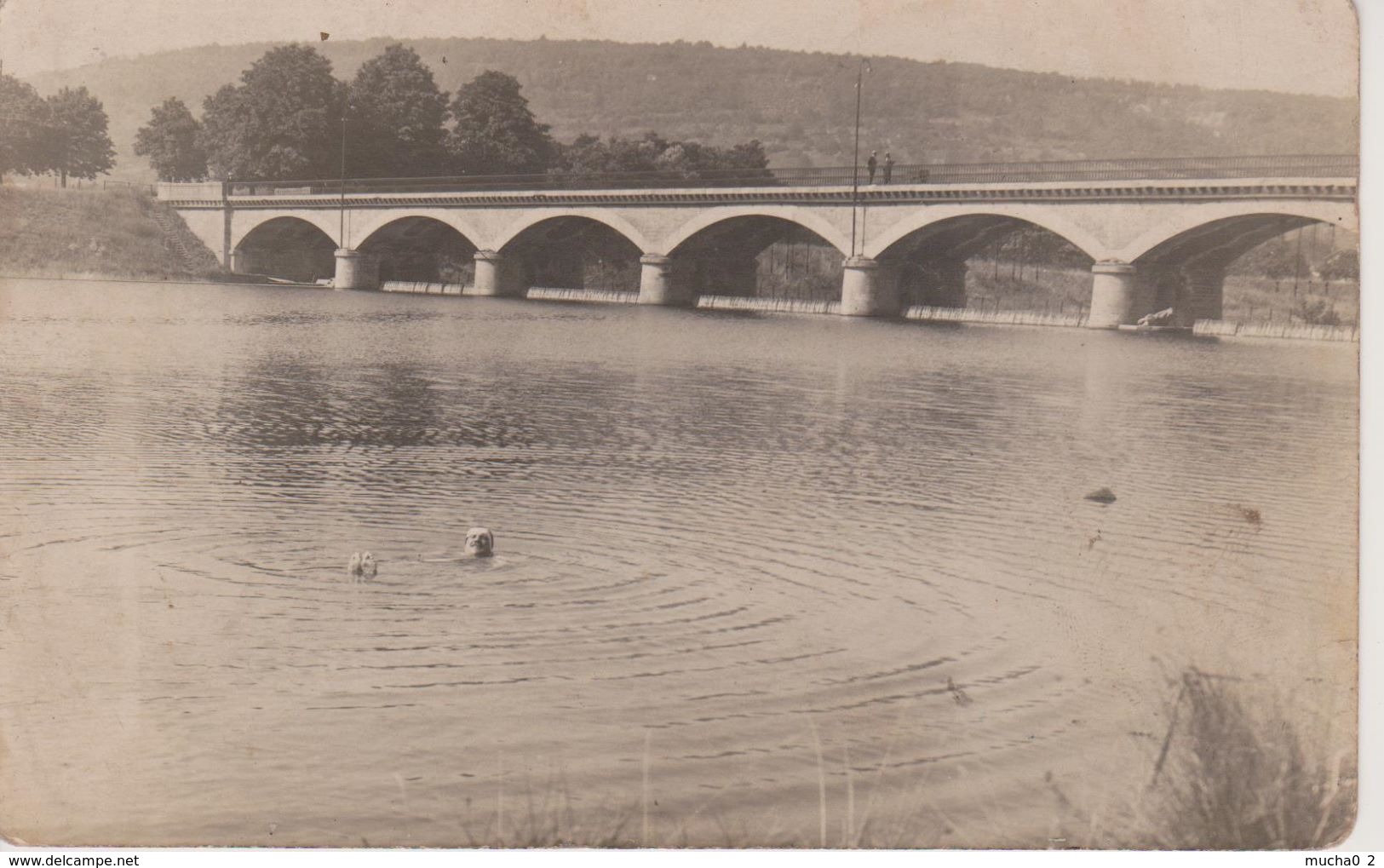 57 - ARS SUR MOSELLE - CARTE PHOTO - NAGEUR LIGOTE DANS LA MOSELLE - Ars Sur Moselle