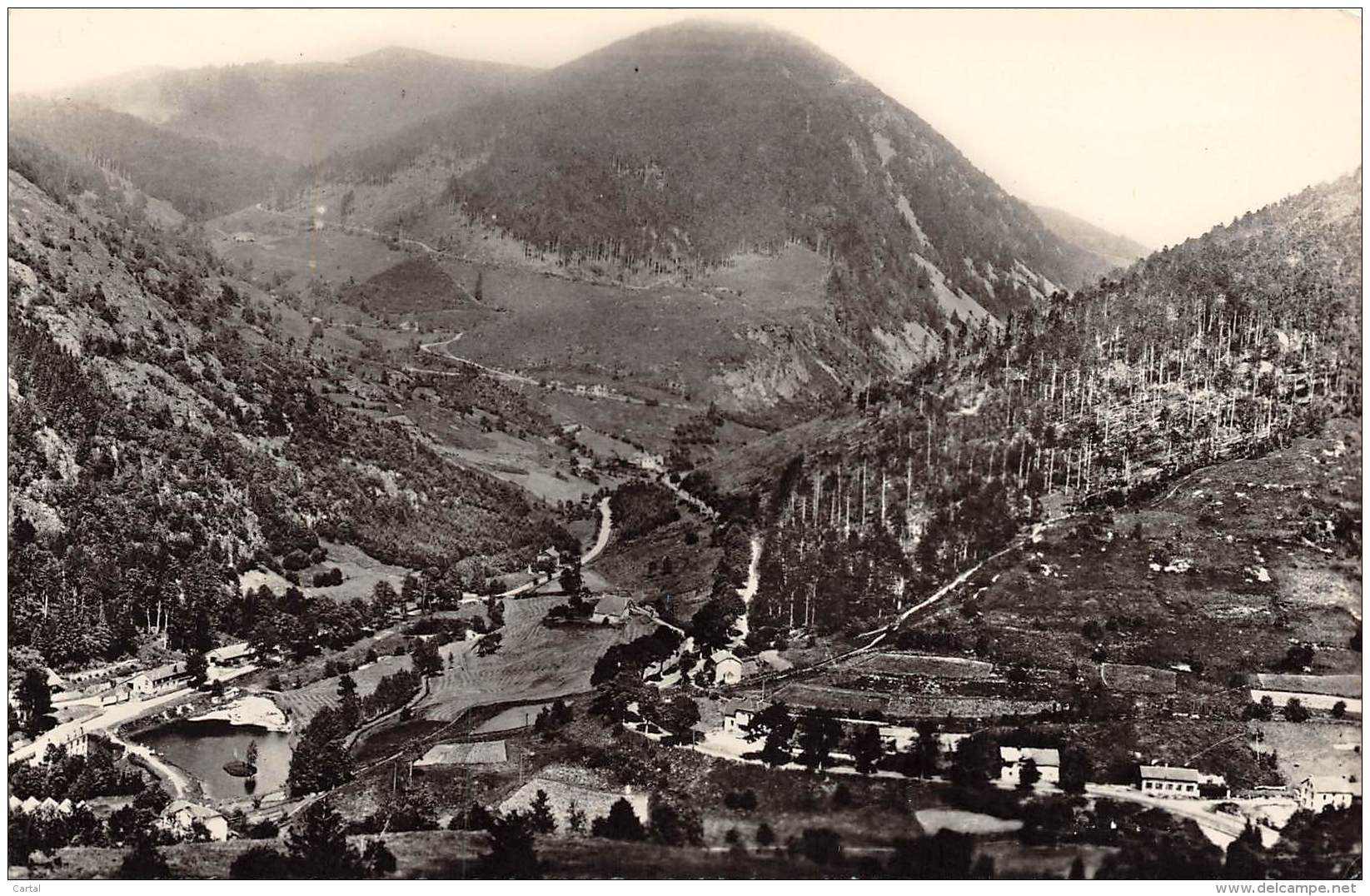 88 - BUSSANG - Vue Sur La Vallée De Taye Et La Piscine - Bussang