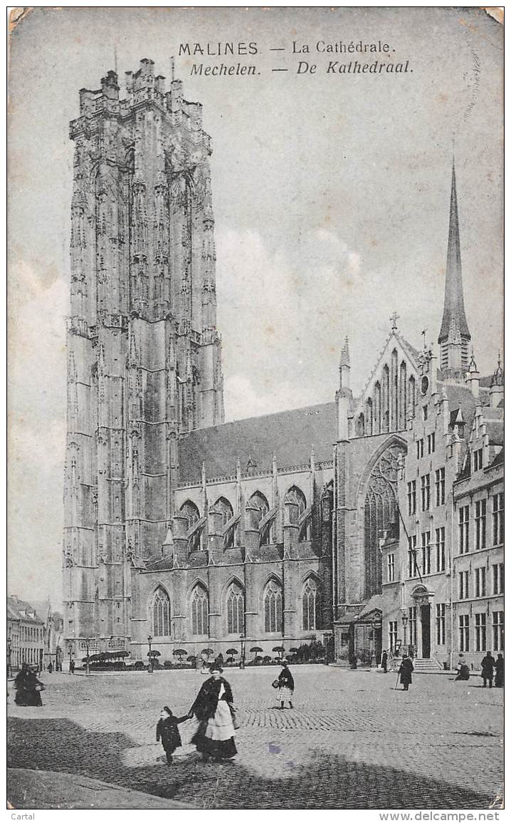 MECHELEN - De Kathedraal - Malines